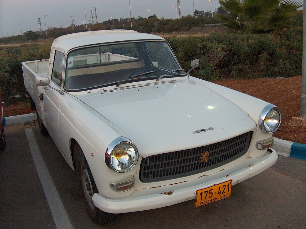 מפגש השרון בגעש 3.1.14 025.jpg