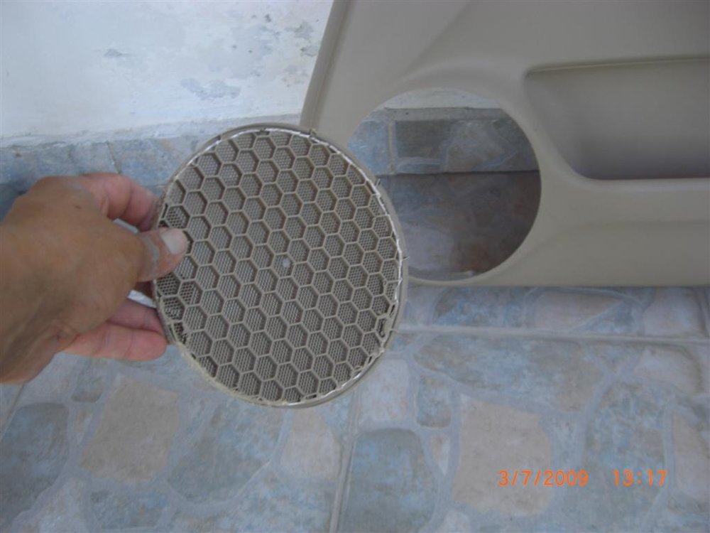 CIMG1184 (Large).JPG