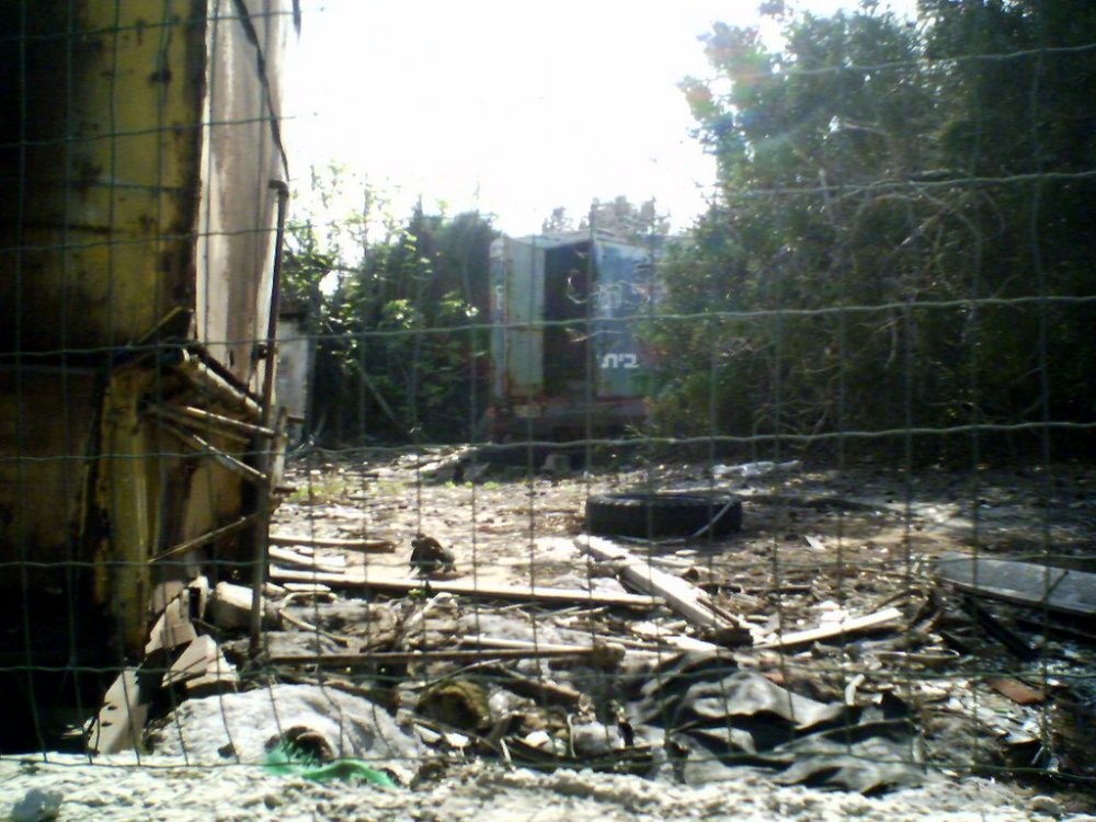 29-03-06_1402.jpg