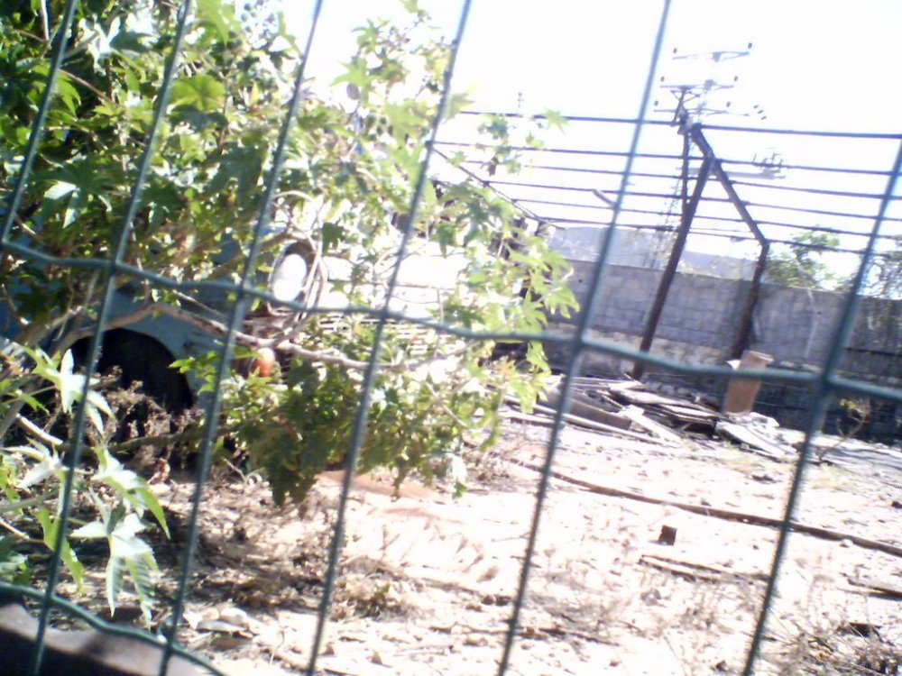 29-03-06_1403.jpg