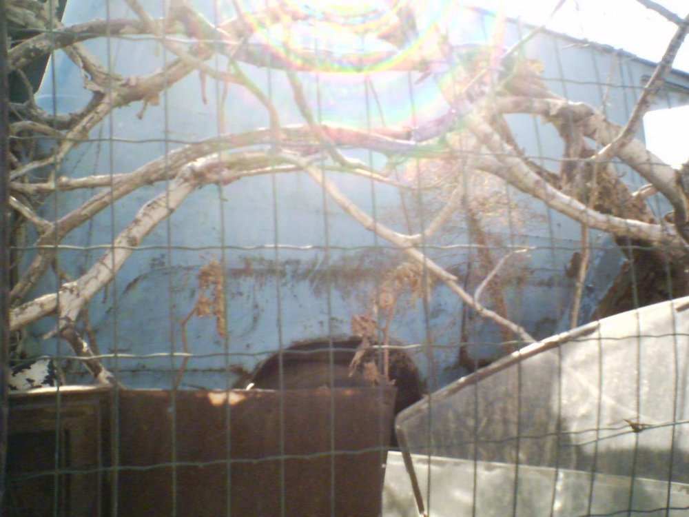 29-03-06_1405.jpg
