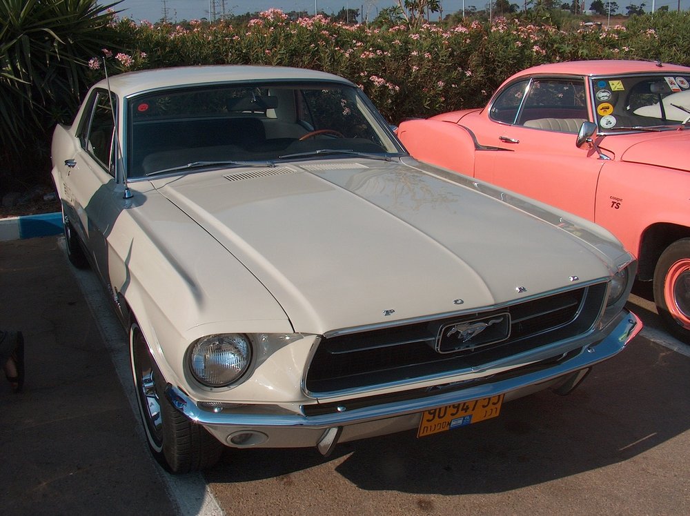 מפגש השרון בגעש   17.7.15 018.jpg