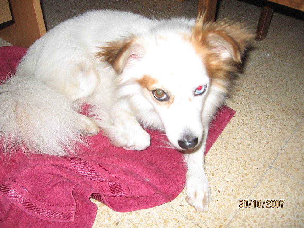 Picture 079.jpg