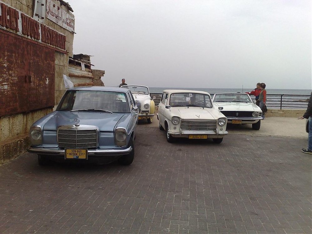 300120101099.jpg