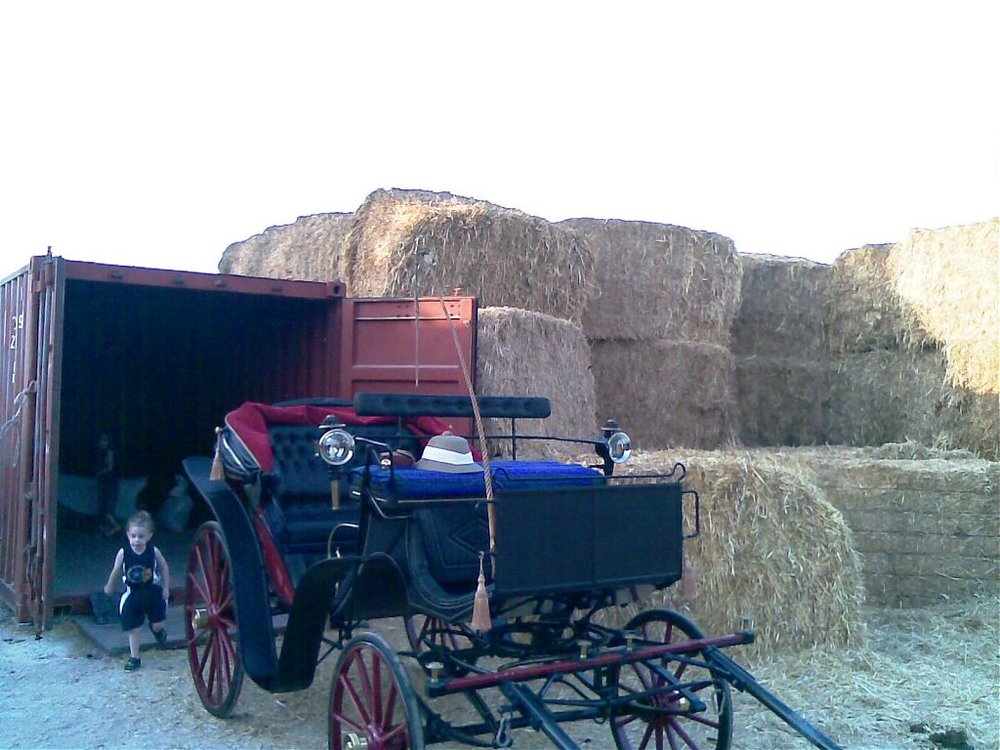 30062008(010).jpg