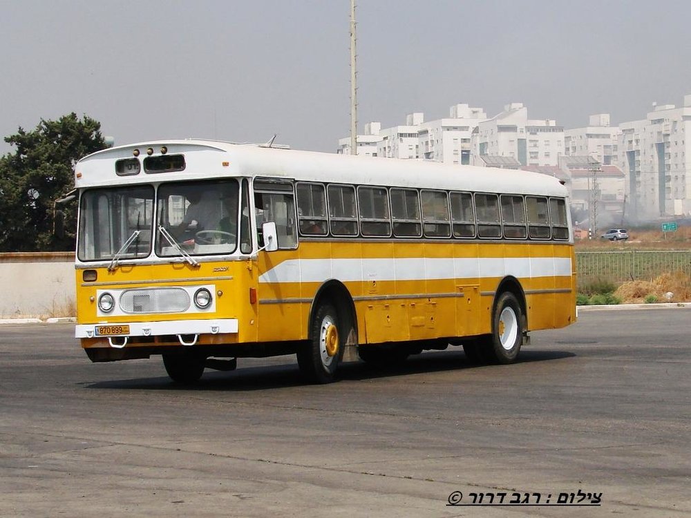 30723751.jpg
