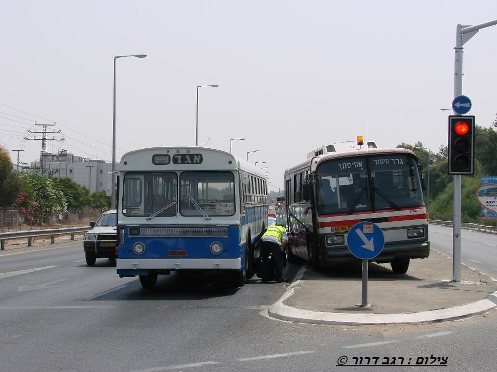 30723980.jpg