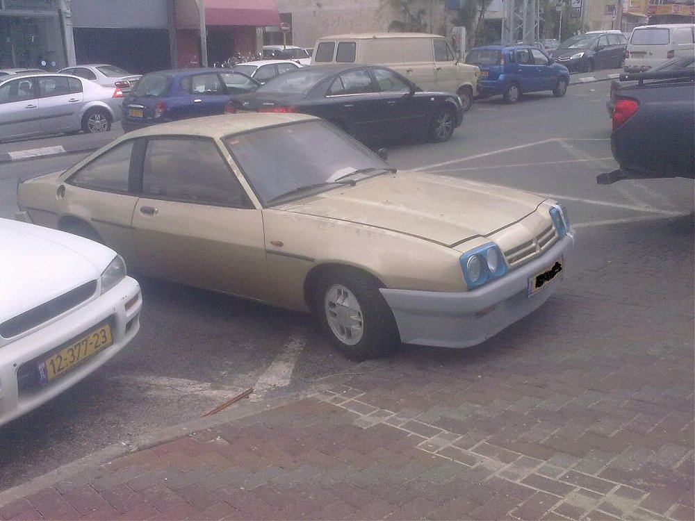 31012011036.jpg