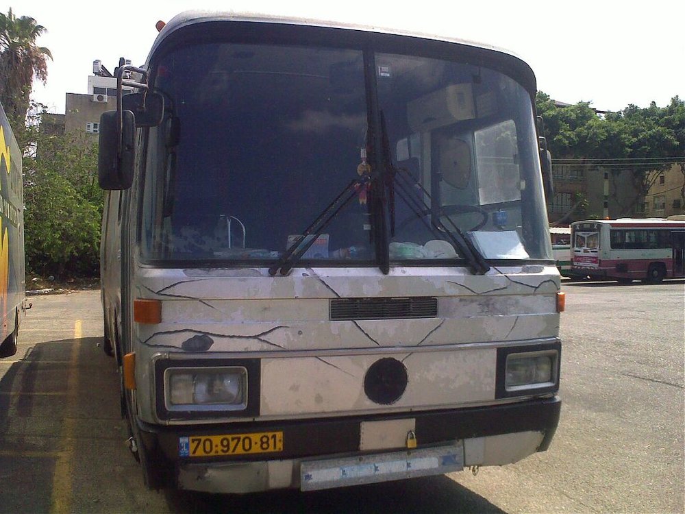 31082010056.jpg