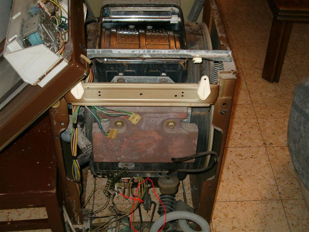 צד אחורי (Large).JPG