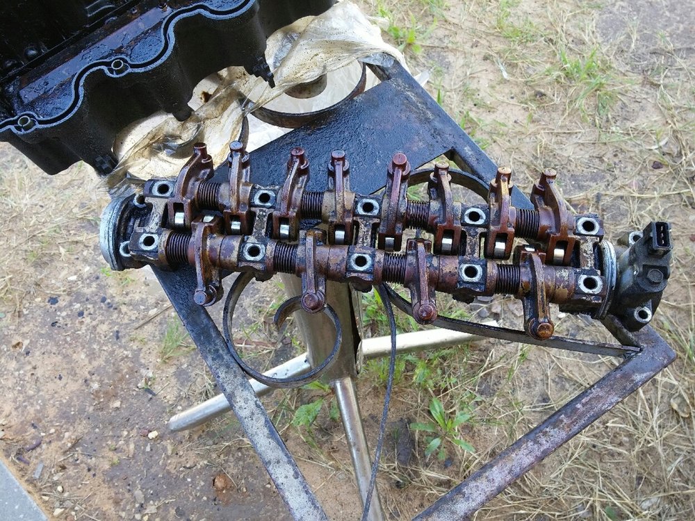 335.jpg