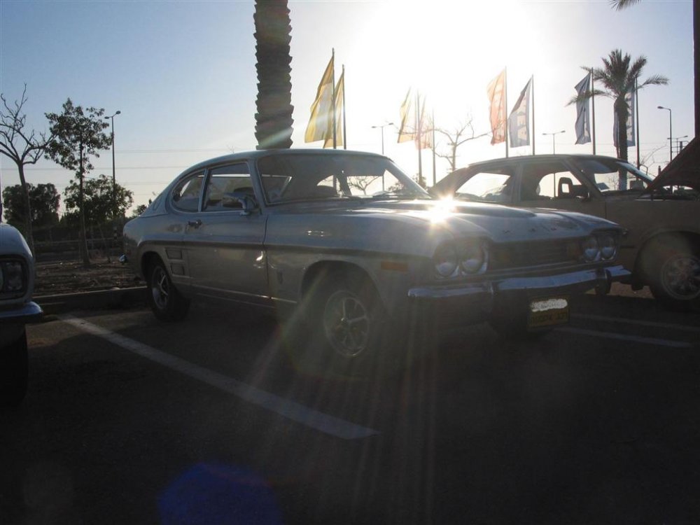 IMG_1190 (Large).JPG