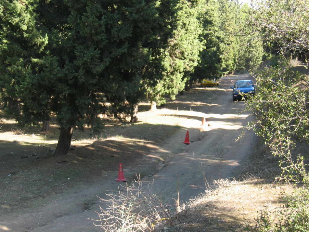 Picture 015.jpg
