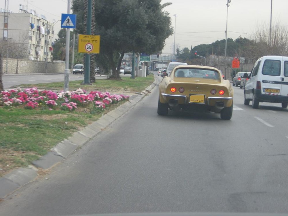 ‏‏עותק של IMG_4400.JPG