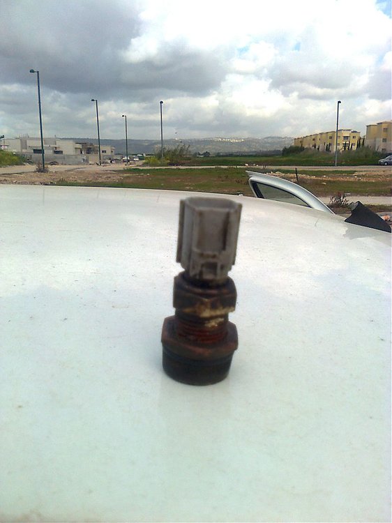תצלום0484.jpg
