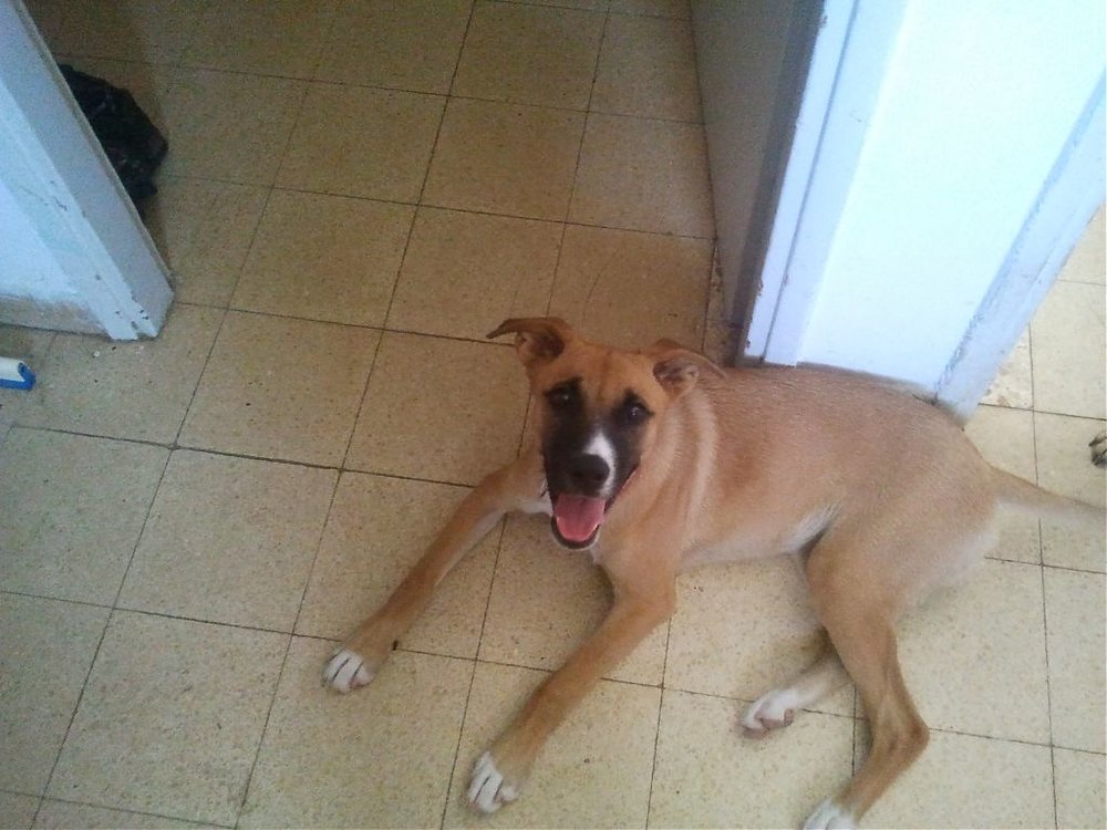 2011-07-30 13.22.30.jpg