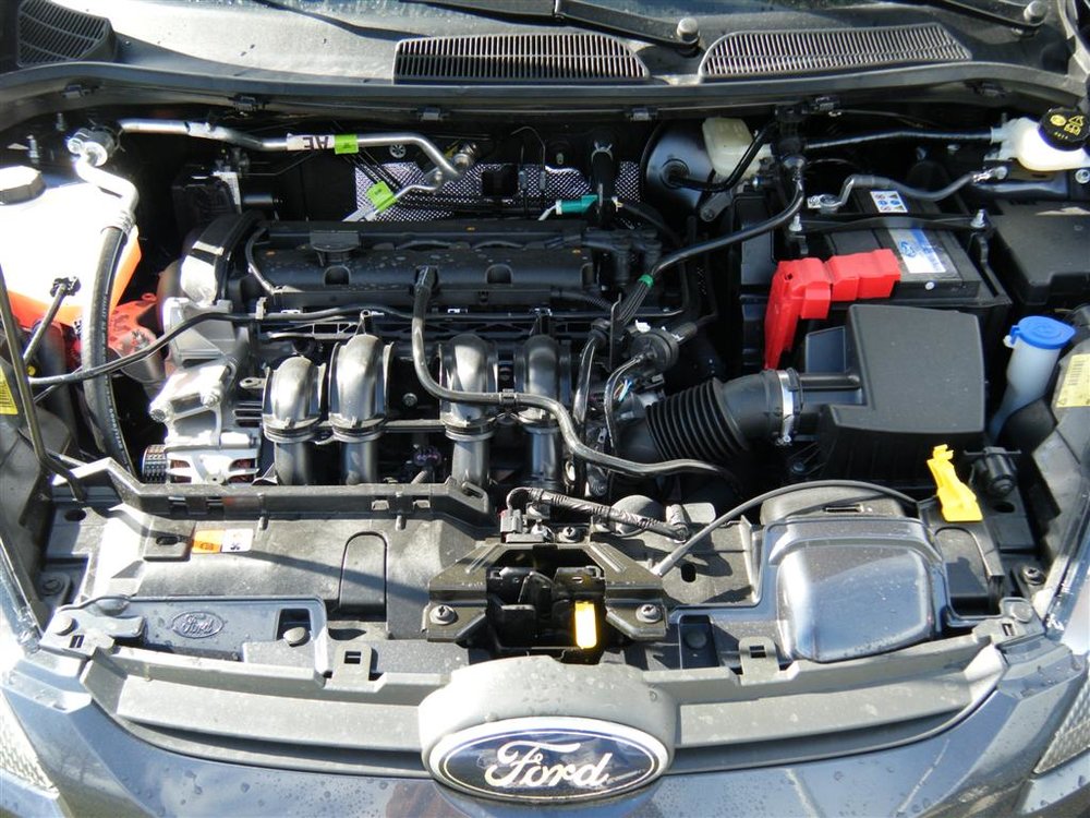 fst (4) (Large).JPG