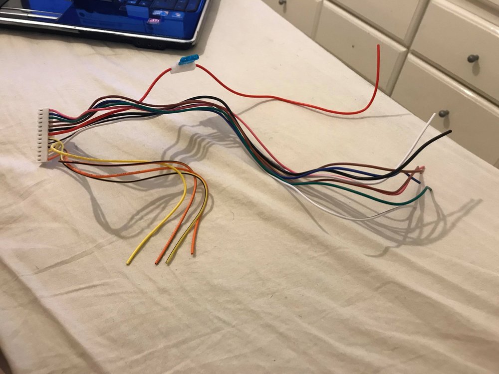 37907281_10216992845244300_6104010325688844288_n.jpg