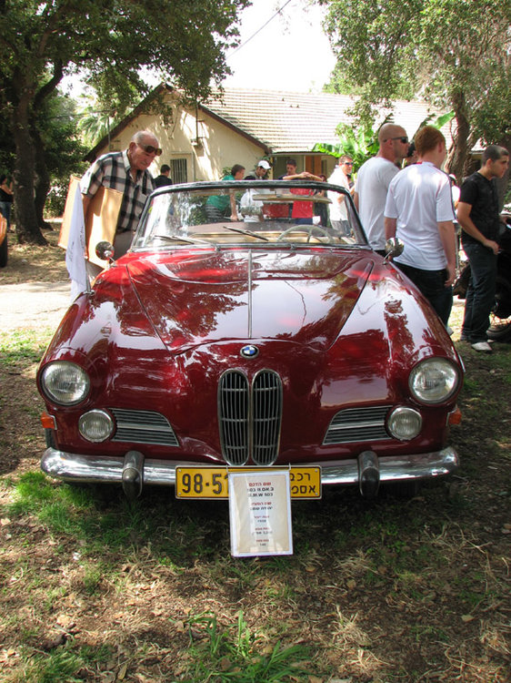 תמונה 307.jpg