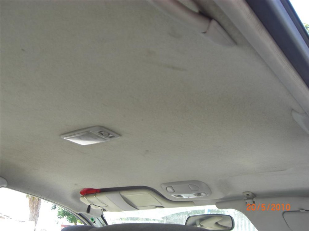 CIMG4836 (Large).JPG