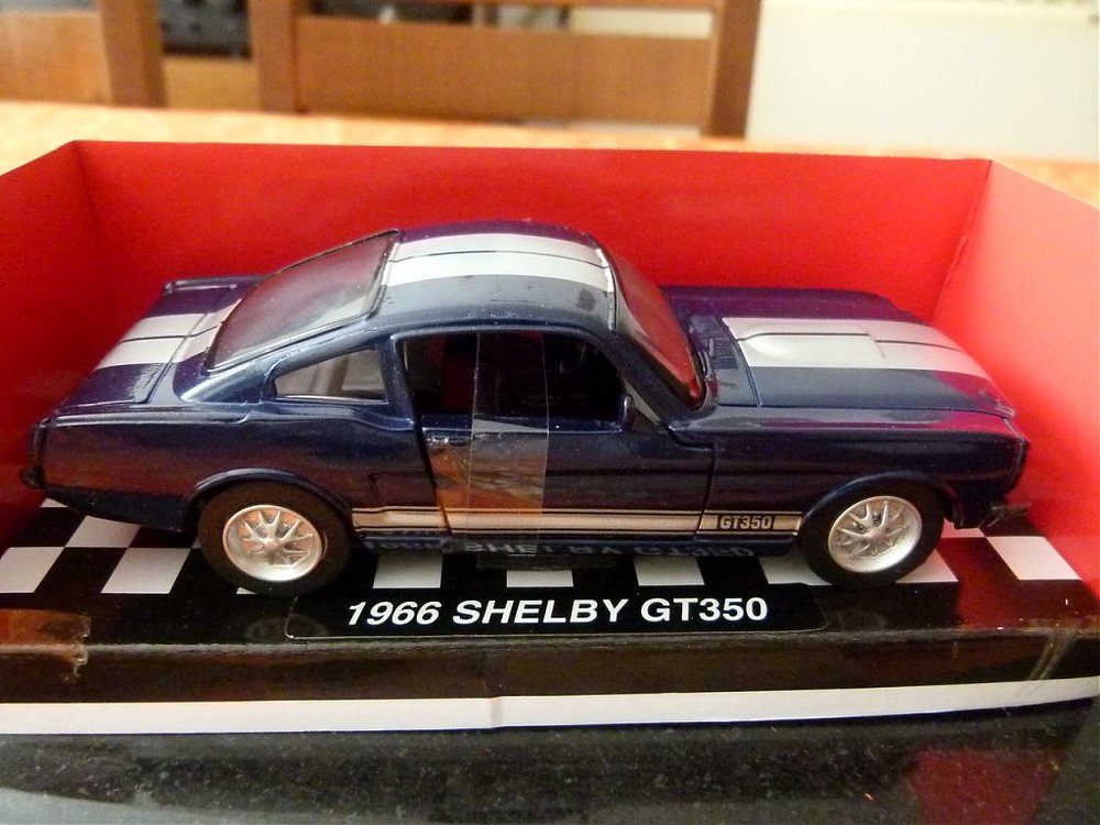 P1000868 (Copy).jpg