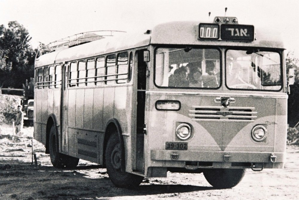 39302.jpg