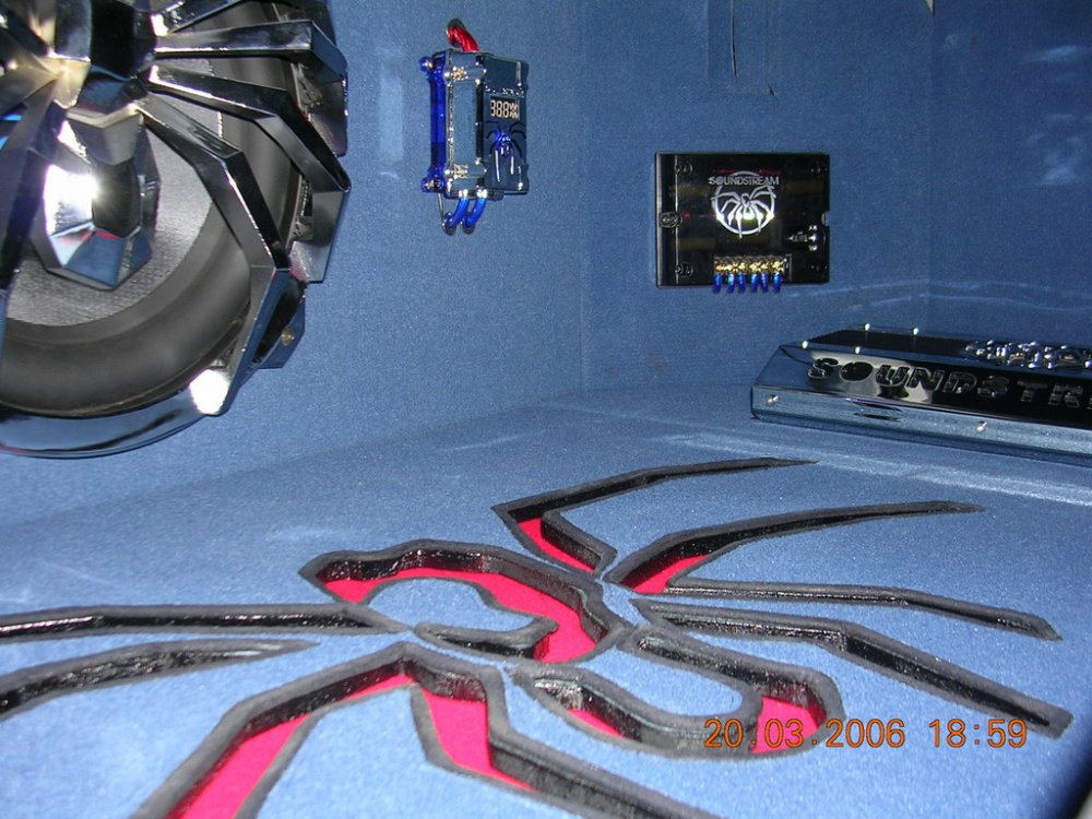 stam2 031.jpg