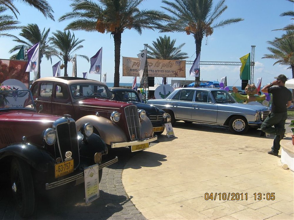 חוף דור 016.jpg
