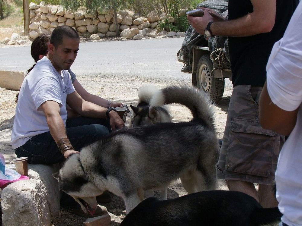 טיול אספנות 2012 031.jpg