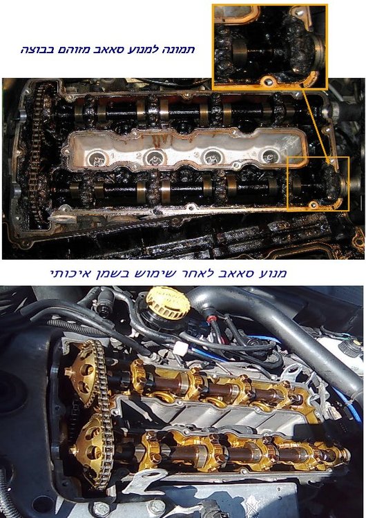 40952911.jpg