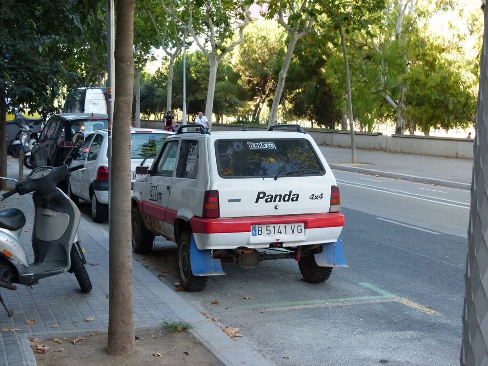 P1010211 (Copy).JPG
