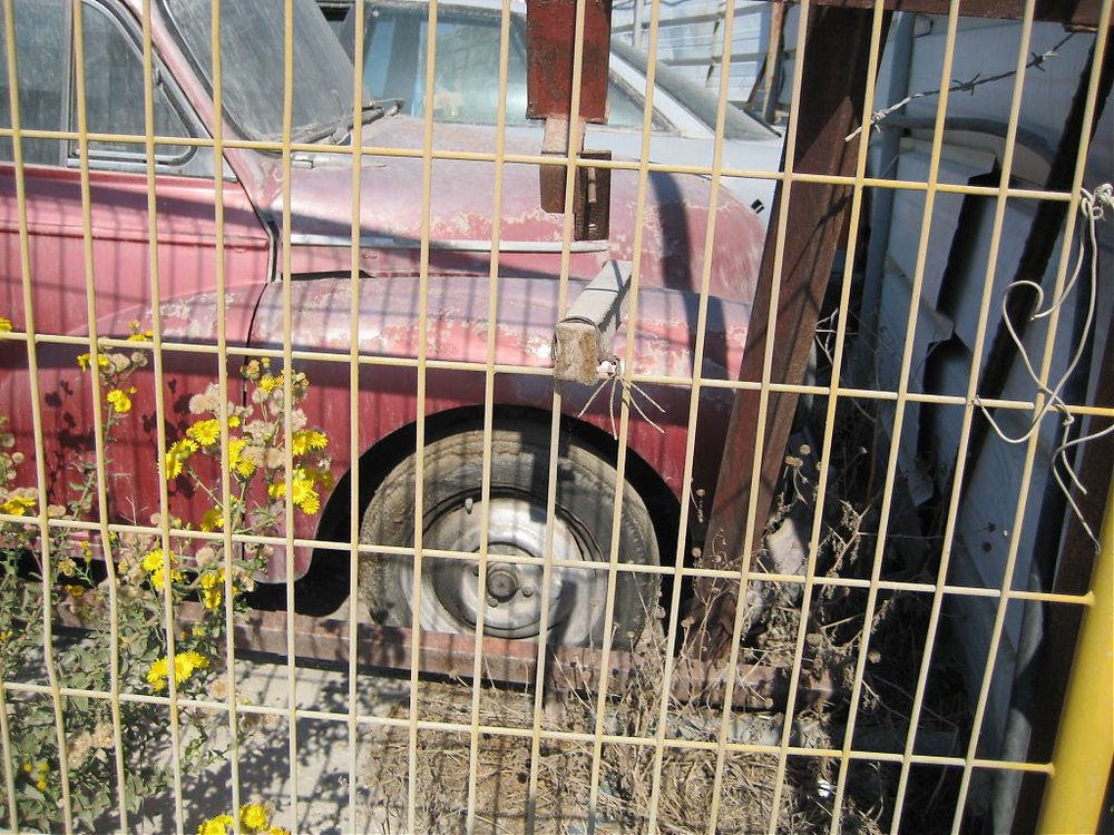 אשדו2.jpg