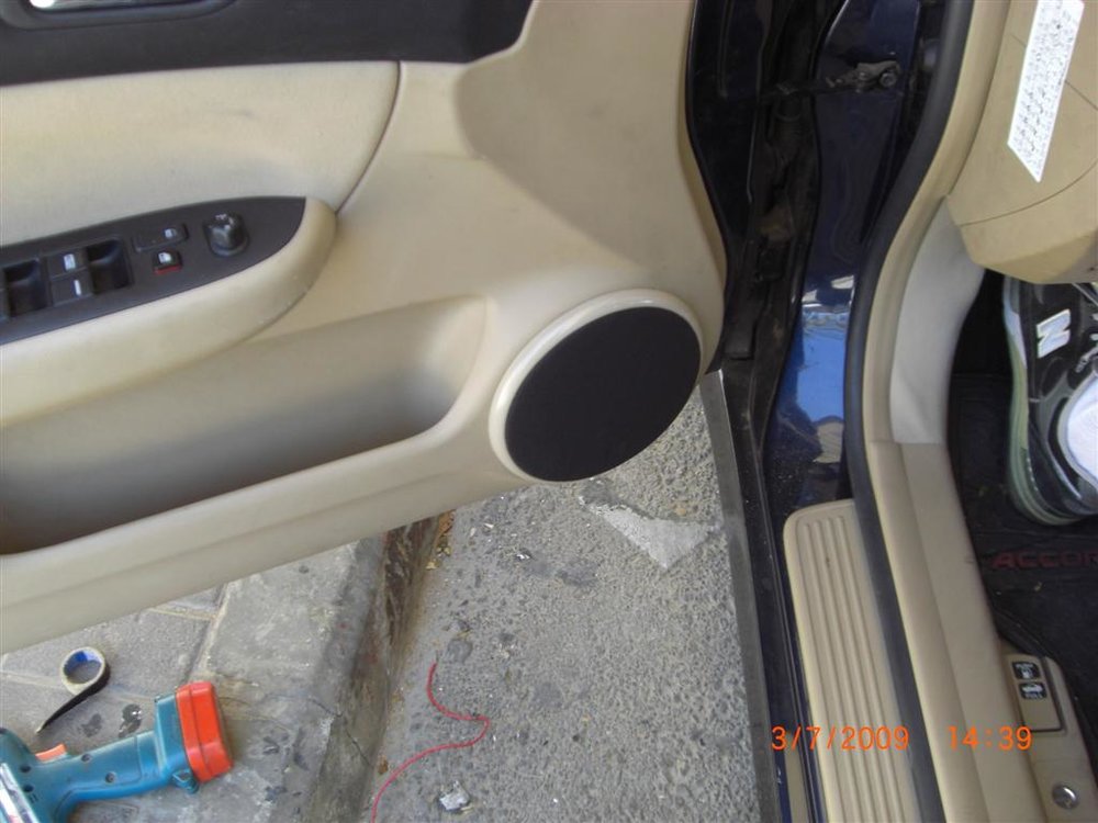 CIMG1195 (Large).JPG