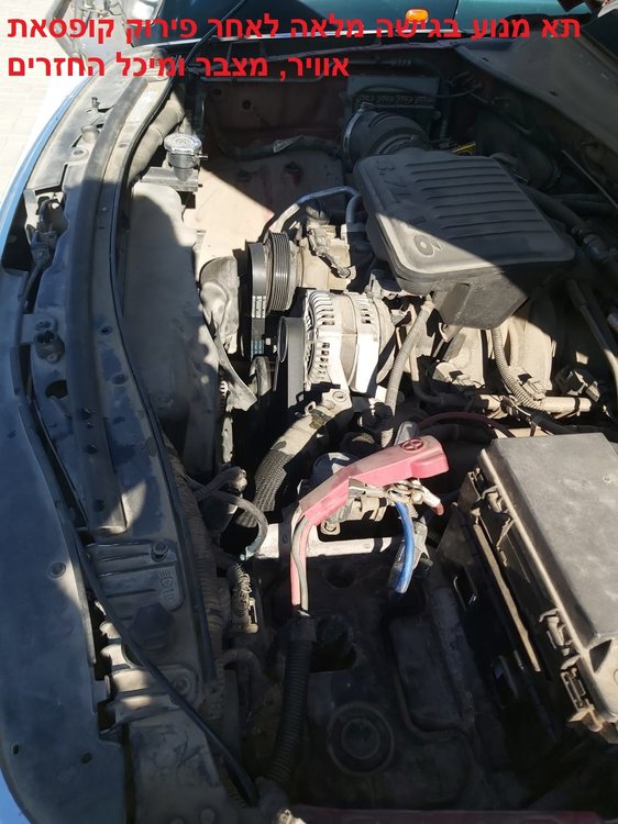 4241ad4c-d88d-466c-a2b9-b259c4e8b296.jpg