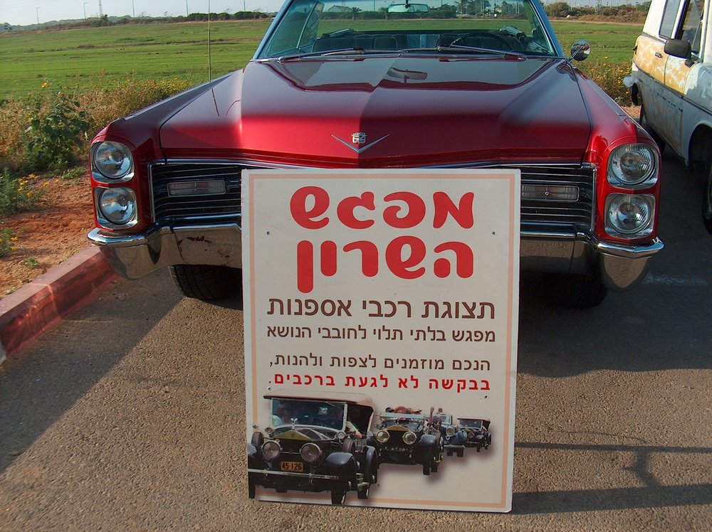 מפגש השרון בגעש 25.jpg