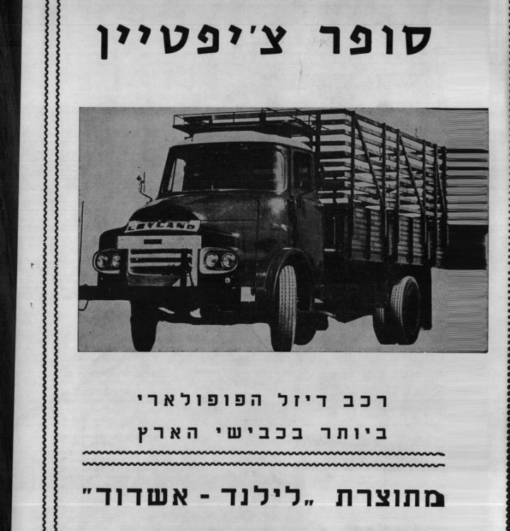ציפטיין.jpg