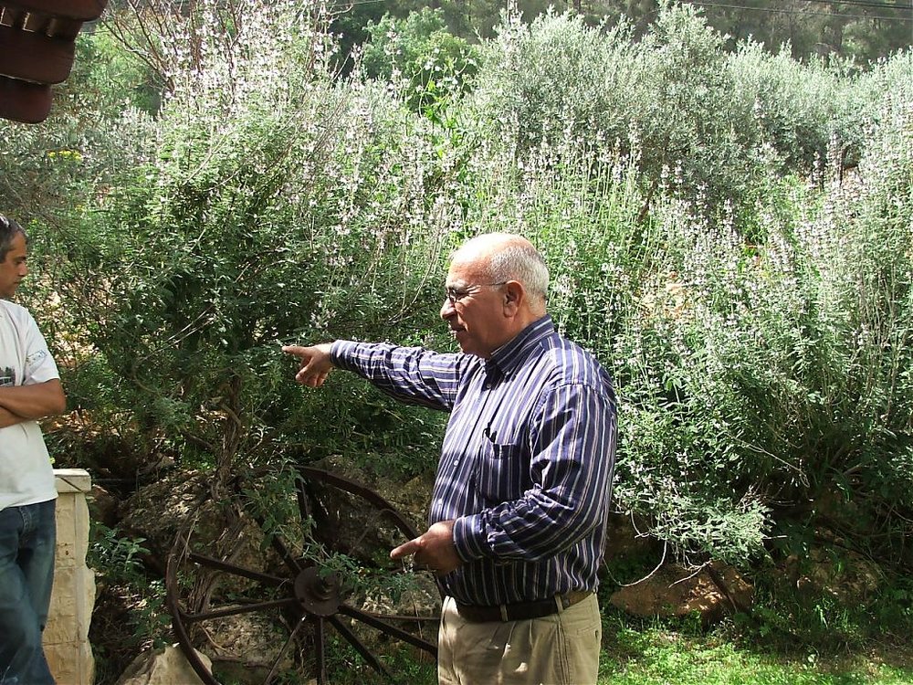 rרנו 005.jpg
