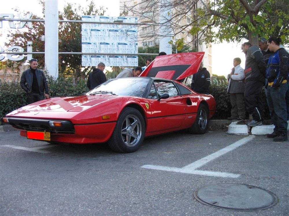 301 (Large).JPG