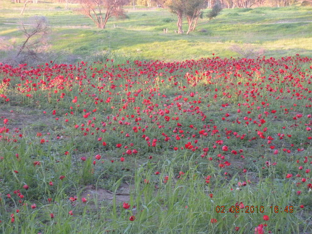 1 057.jpg