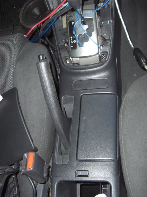 CIMG6053 (Large).JPG