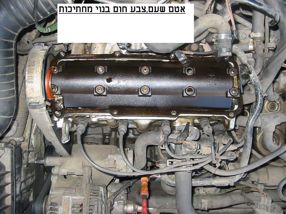 אטם שעם.jpg