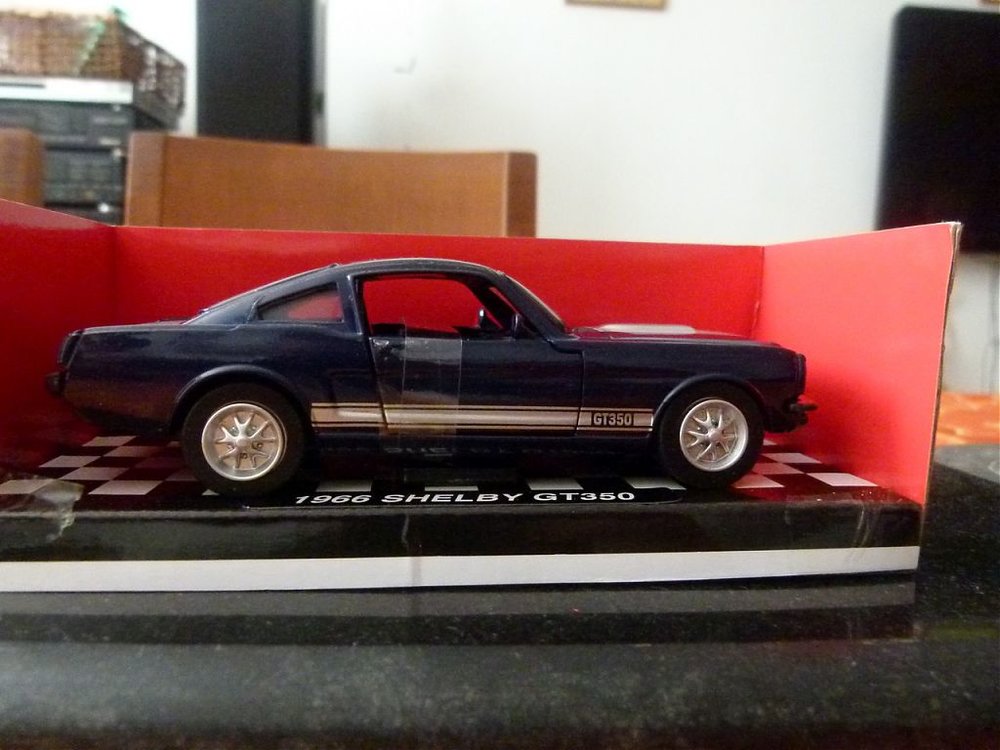 P1000867 (Copy).jpg