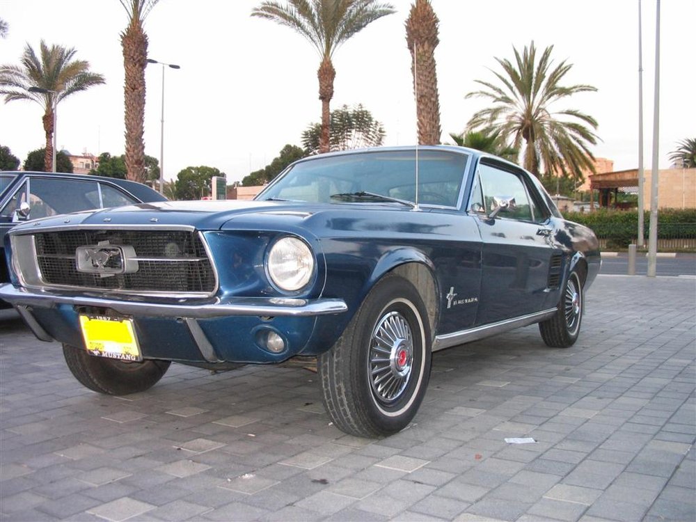 2 (Large).JPG