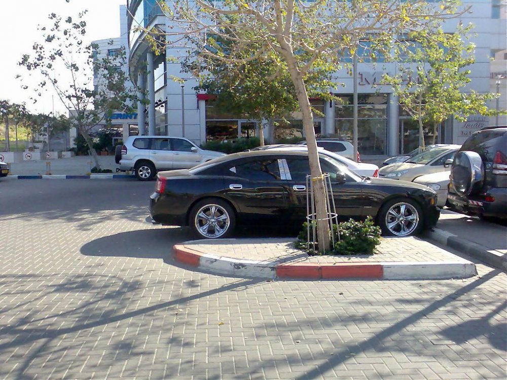תמונה001.jpg