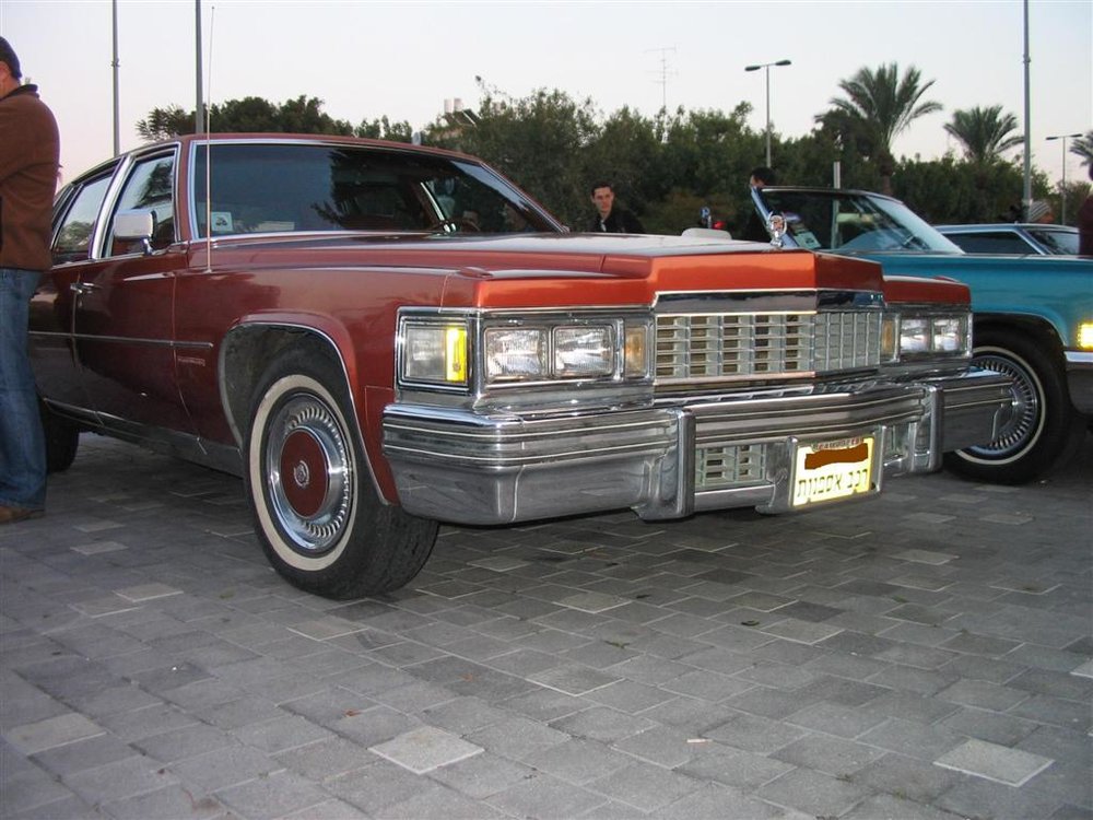 5 (Large).JPG