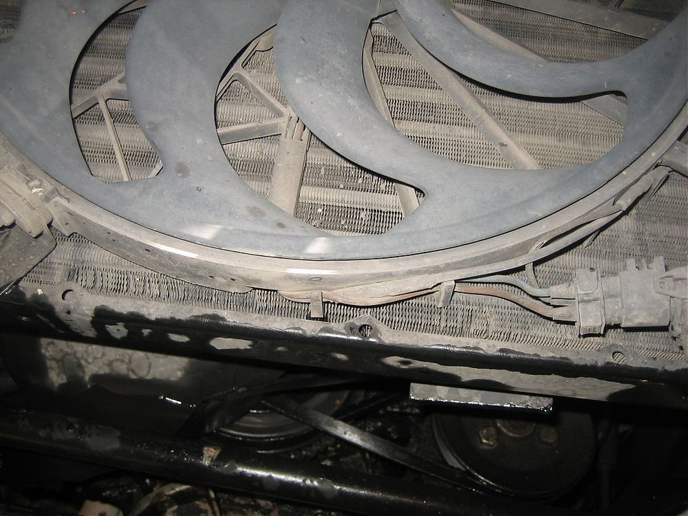 bmw318im40e36 003.jpg