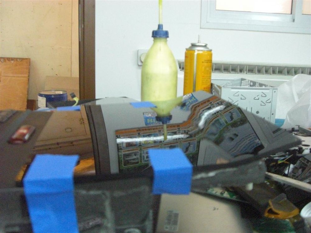 CIMG6771 (Large).JPG