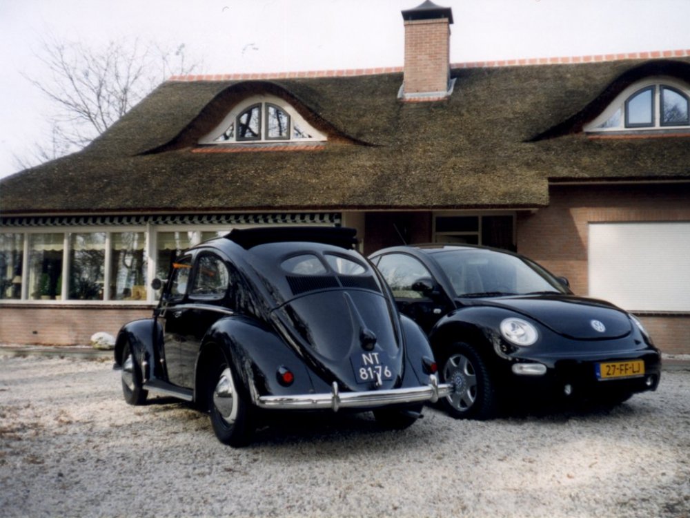 Beetle%20-%20Wallpaper%2012.jpg