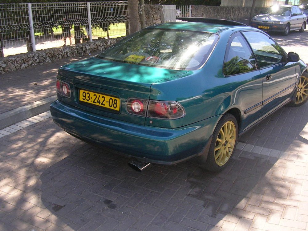 תמונה 024.jpg