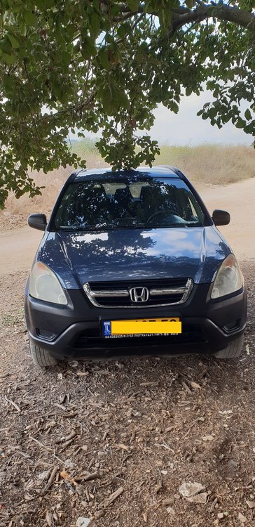 פרונט.jpg